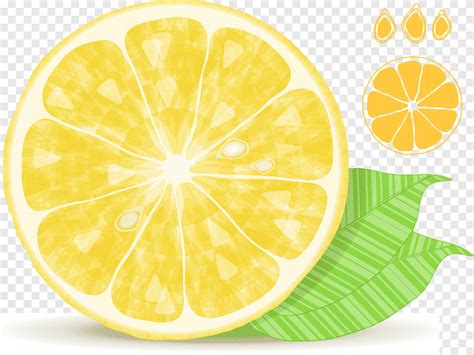 Fresh Lemon With Leaf Png Pngegg