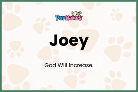 Joey 🐶 Dog Name Meaning And Popularity ™