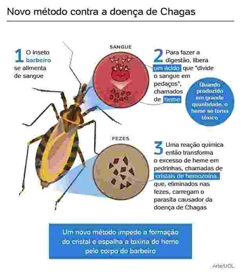 Brasileiros Identificam Método Para Barrar Transmissão Da Doença De