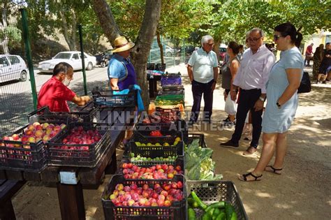 Elvas Novo Mercadinho da Horta na Boa Fé oferece produtos frescos