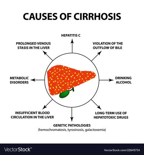 Liver Cirrhosis Reasons