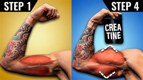 How To Use Creatine To Build Muscle Faster 4 Steps