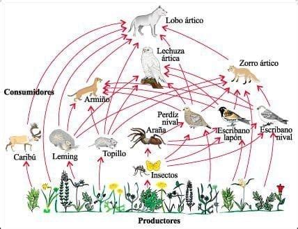 Qué es la biosfera
