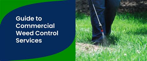 Comprehensive Guide To Commercial Weed Control Services Best Pest Nyc