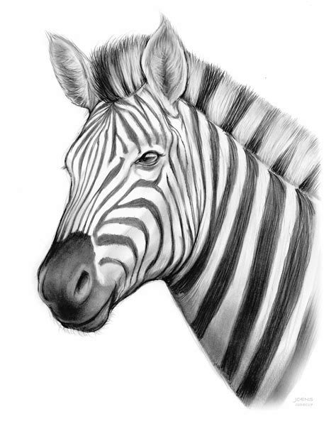 Zebra by Greg Joens | ArtWanted.com