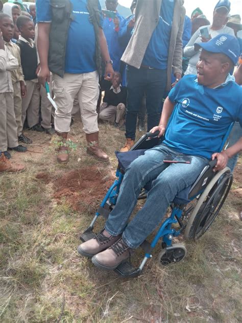 Pitso Leads Tree Planting Day Lesotho News Agency