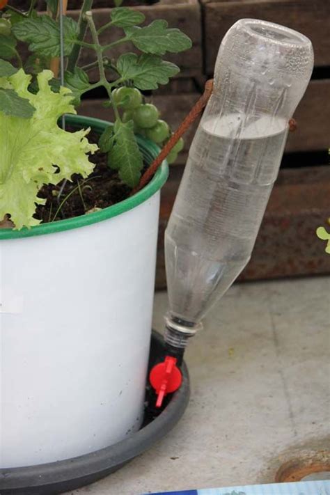 Bewässerungssysteme Balkon ungewöhnlich PET Flasche Flaschen