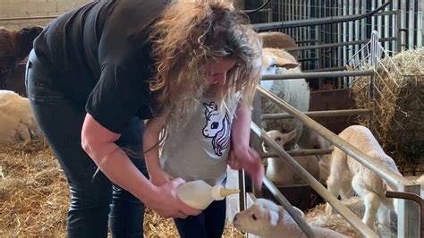 Sjors En Guusje Gaan Het Lammetje De Fles Geven Youtube