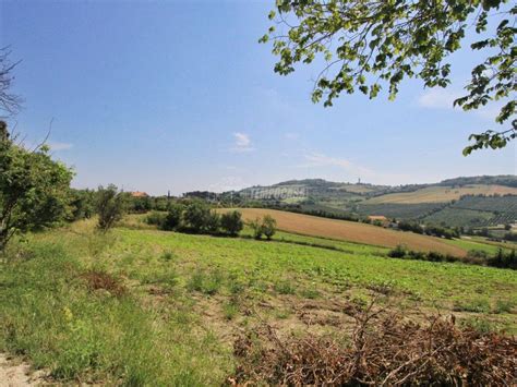 Terreno Agricolo Via Del Carmine Ancona Rif 103779114 Immobiliare It