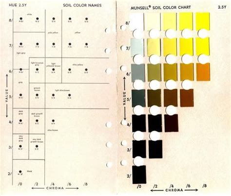 Munsell Soil Color Chart Printable