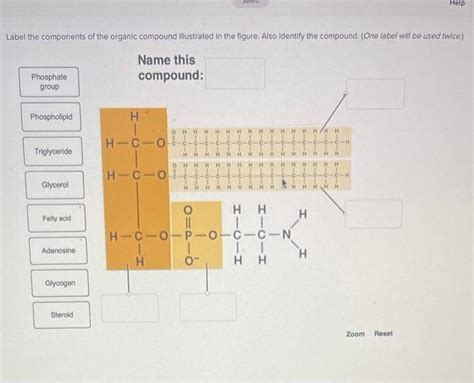 Solved Sovo Help Label The Components Of The Organic