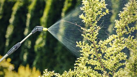 7 Best Insecticide For Vegetable Garden Just Pure Gardening