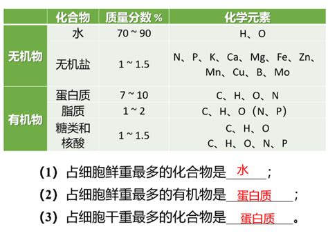 2019新版高一生物必修一第2章组成细胞的分子知识详解细胞中的元素和化合物 高中学习网 人民教育出版社人教版部编同步解析与测评答案 电子课本