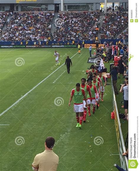 Soccer editorial stock photo. Image of structure, arena - 93008023