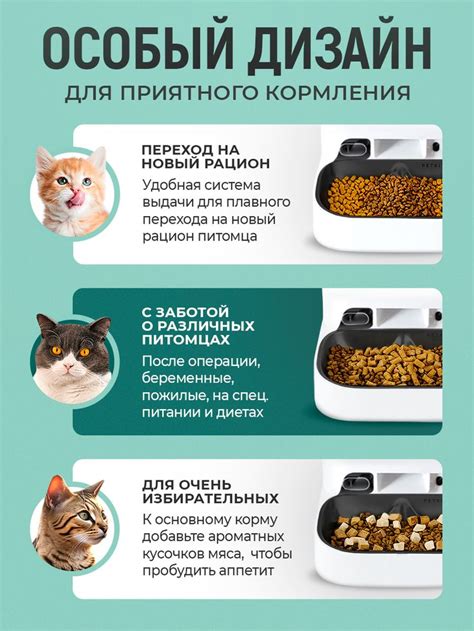 Карточка умная кормушка в 2024 г | Инфографика, Дизайн, Инфографика дизайн