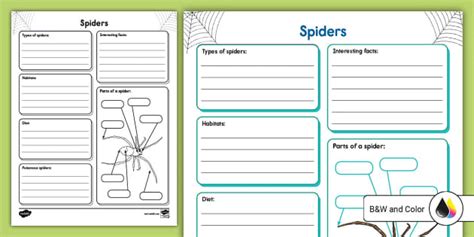 Spider Research Activity Worksheet For K 2nd Grade Twinkl