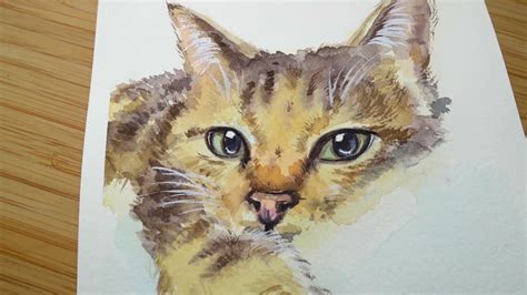 Painting Your Cats In Watercolor Easy Watercolor Ideas Step By Step