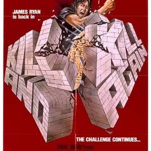 Kill and Kill Again - Rotten Tomatoes