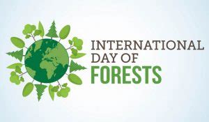 International Day of Forests: 21 March