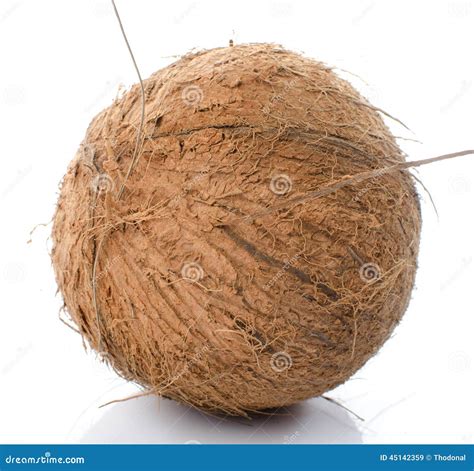 Whole coconut stock image. Image of nutrition, closeup - 45142359