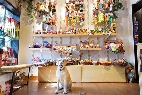 Best Pet Shops In Delhi I Lbb Delhi