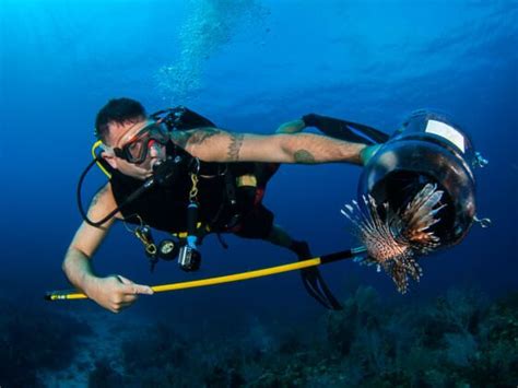 A Beginner's Guide to Lionfish Hunting in Florida