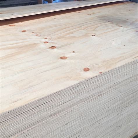 Inch X Poplar Hardwood Cdx Knotty Pine Plywood For