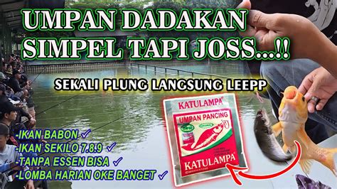 PASTI KETAGIHAN UMPAN PUTIH IKAN MAS DADAKAN AROMA AMIS WANGI SOLUSI