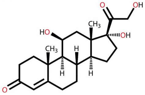 Cortisol la hormona del estrés La Mente es Maravillosa