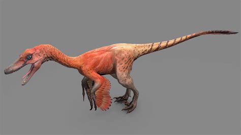 Velociraptor | Dinosaur Revolution Wiki | FANDOM powered by Wikia