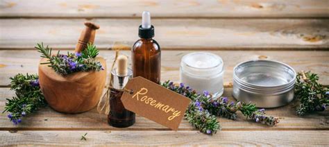 Rosemary Benefits Uses Tips And Side Effects