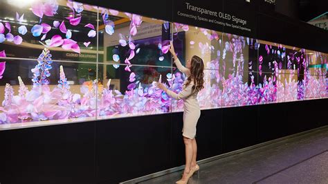 Ise Transparent Oled Signage Lg Information Display