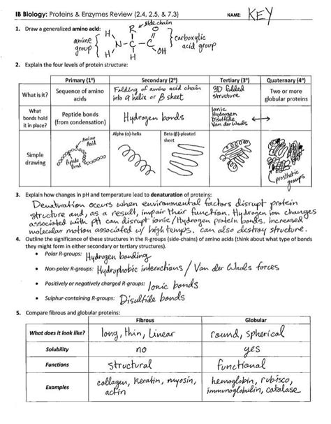 3D Molecular Designs Answer Key
