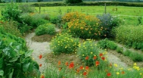 Créez et entretenez votre potager aux porte d Ile de France