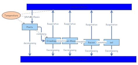 Carbon Food Chain Insight Maker