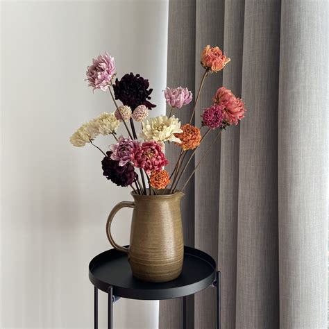 How Long Do Dried Flowers Last? - Bryonia