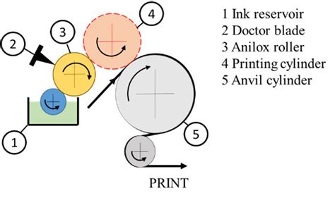 Flexographic printing process. | Download Scientific Diagram