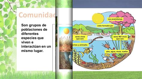 Conceptos Básicos De Biodiversidad Youtube