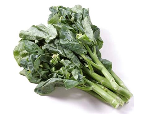 Chinese Broccoli Wan Shen Kailan Brassica Oleracea Var Alboglabra