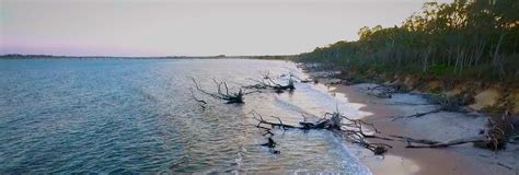 spine pain coastal health