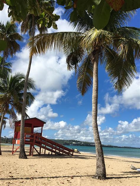 Luquillo Beach Photograph by Alice Terrill - Fine Art America