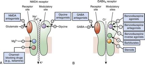 Molecular Mechanisms Of Drug Actions From Receptors To Effectors