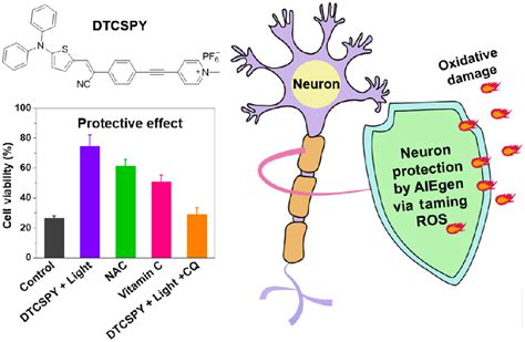 Taming Reactive Oxygen Species Mitochondria Targeting Aggregation