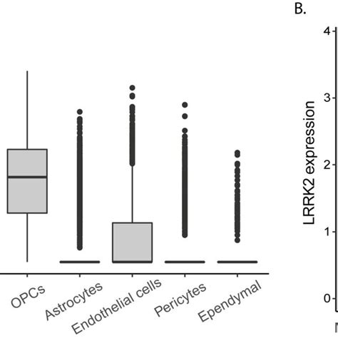 Lrrk2 Gene Expression In Single Cells From Postmortem Midbrain Of