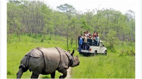 Bihar Tourism त्रिवेणी के चितवन में बढ़ रही पर्यटकों की संख्या राष्ट्रीय निकुंज में खोली गई