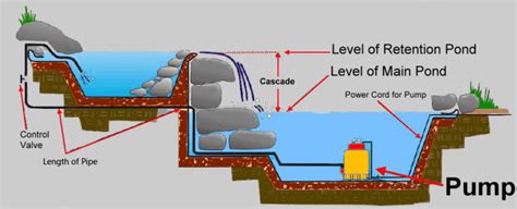 How To Install A Pond Filtration System Loadzonedisplayc3g