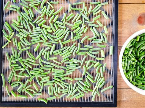 How To Dehydrate Garlic Scapes And Make Powder Homestead Acres