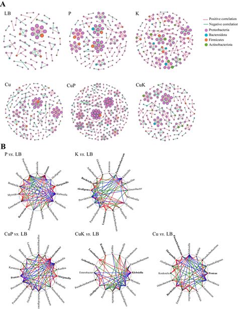 Intestinal Bacterial Cooccurrence Microbiome Networks Between Different