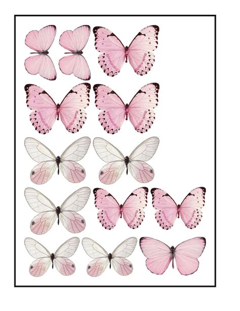 Edible Pre Cut Wafer Butterfly Pastel Pink And White Large Etsy