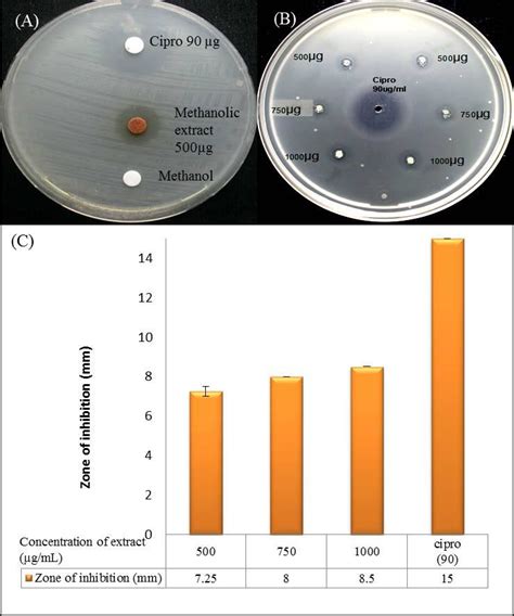 Anti Salmonella Activity Of Methanolic Leaf Extract Of Swietenia